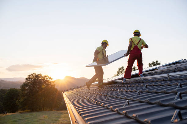 Best Roof Maintenance and Cleaning  in Sheridan, IN