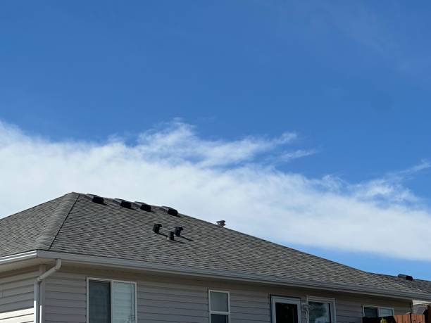 Professional Roofing Service in Sheridan, IN